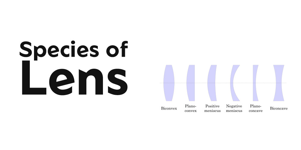 Species-of-lens