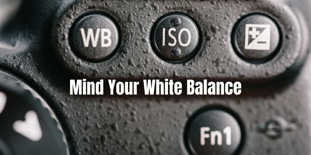Mind Your White Balance